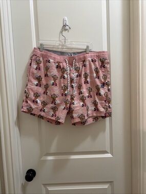 Party Pants Swim Trunks Shorts Pink Sloths Riding Segways Men XXL Summer Beach